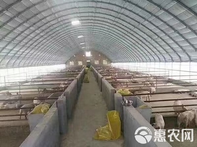 大棚管 钢管大棚 种植大棚,蔬菜大棚 瓜果大棚,质量保障,诚信经营