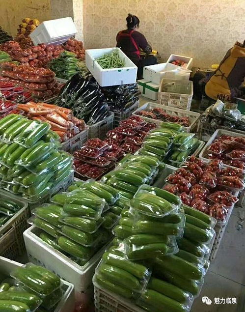 临泉套装蔬菜卖得俏 线上市场销售火爆