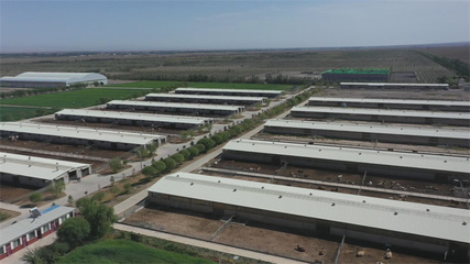 积极构建绿色农业循环发展模式，推动蔬菜产业可持续发展