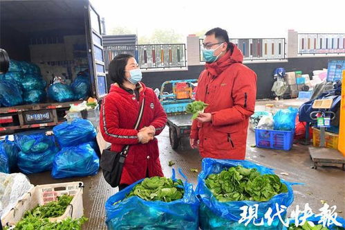 南京蔬菜储备充足，春节菜篮子供应稳定无忧