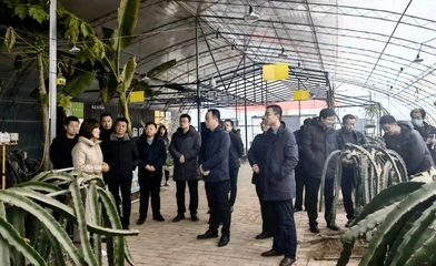 思想“破冰”发展“突围” 长武洪家镇解放思想大讨论系列活动引领蔬菜产业转型升级